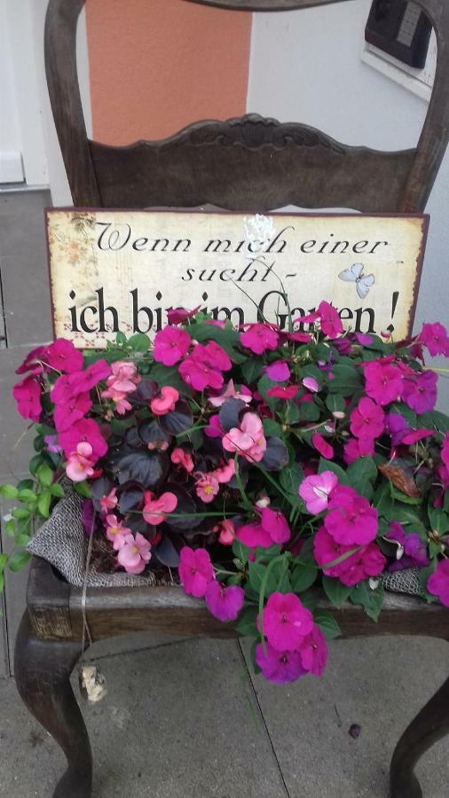 Fewo 1 Waren Mueritz - Haus Buchen Am Tiefwarensee - 1 Zi Exteriör bild